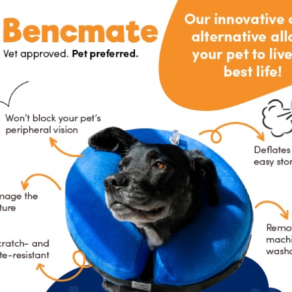 Inflatable Protective Dog Collar Size Small - Picture 5 of 5